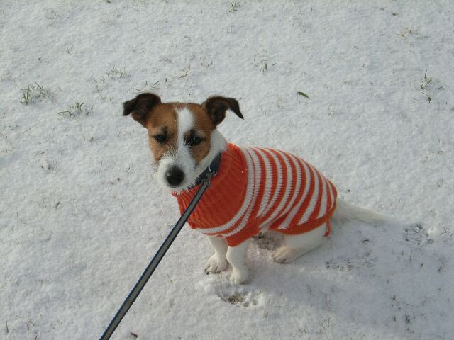 座ると、おしりが冷たいです・・・