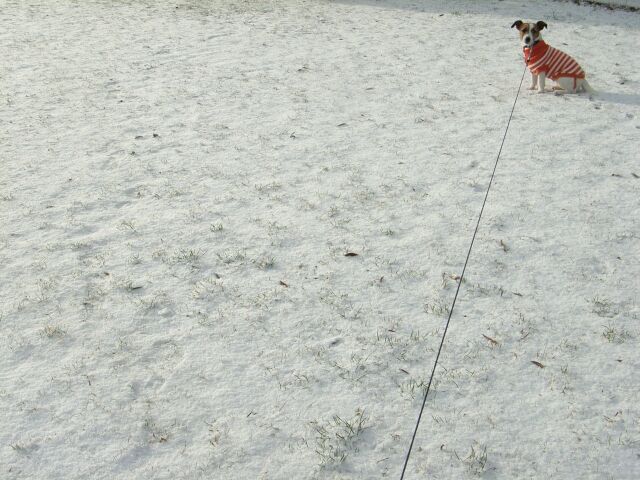 あんまり遠くまで行かないでね♪