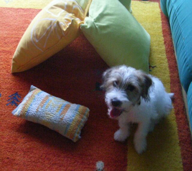 起きました!そろそろ「お散歩」ですか!!