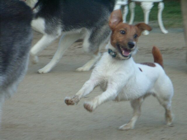 笑顔で走る！！！