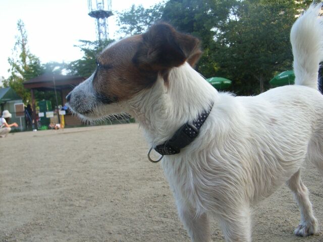 呆然と見つめる「リズ」・・・・・