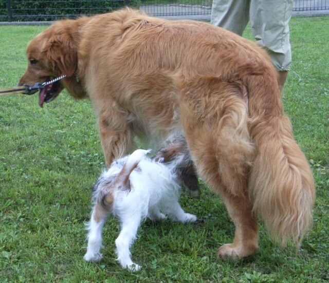 アンディーのおなかのチェック中