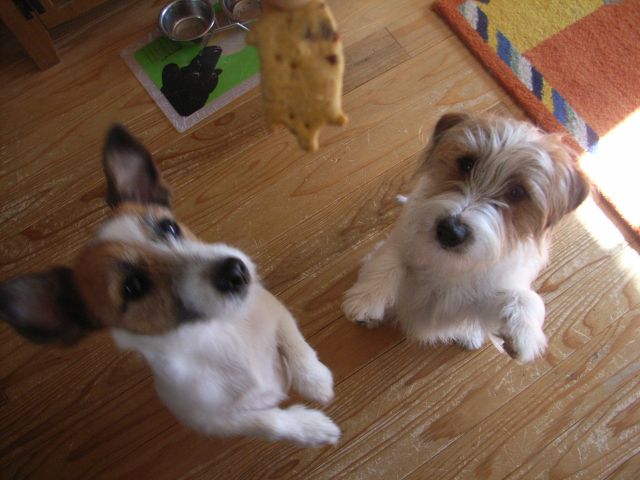 それなら、わたしにもいただく権利があるのよねっ