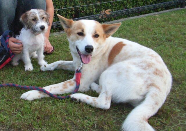 ピュアちゃんにもご挨拶