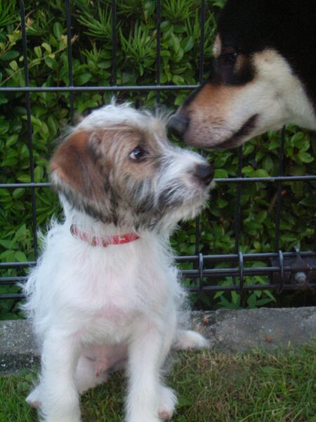 コタ兄には、「コタパンチ」イタダキ～～