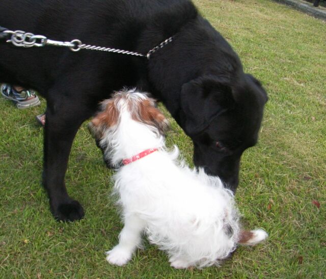 今度はマイルちゃんにチェックされます