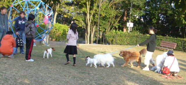 ワンコ８匹・・・人間たくさん・・・