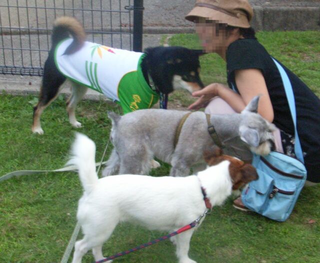 えっ・・・なんか貰えるの~♪