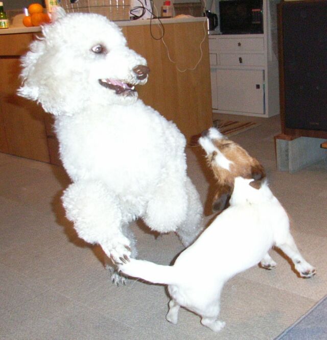 家が、揺れてます～～～