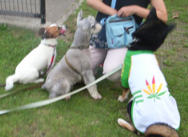 ウマウマの前では、ちゃんと「お座り」も出来ますっ