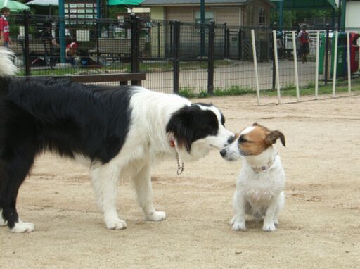 私のことは気にせず遊んでください･･･
