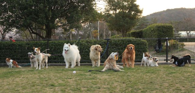 長老ロン君を囲んで記念撮影です。