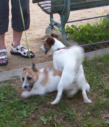 まおくんは、８ヶ月の男の子です。