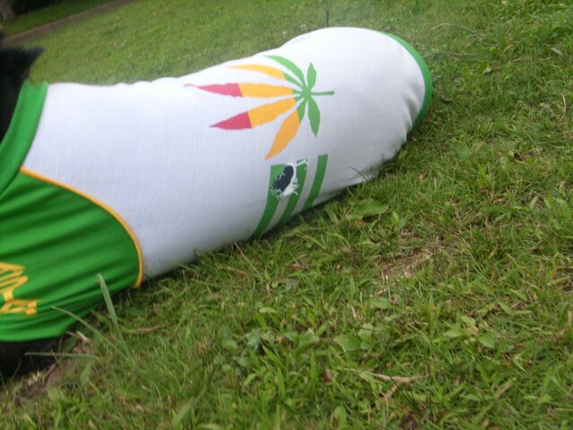 うひゃ~~~ みごとな穴がぁぁぁぁぁ