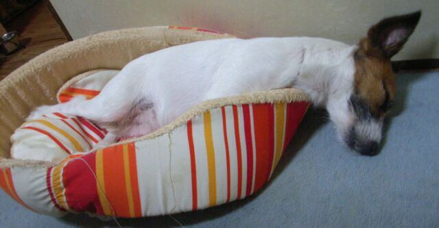 ワケ分からんほど、眠たいんです・・・