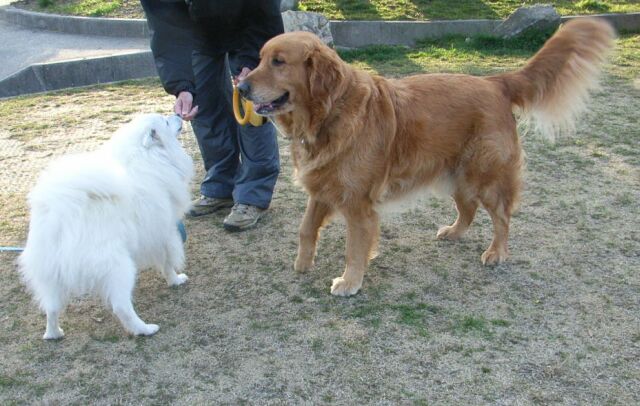 「アンディ」も「ムク」とご挨拶♪