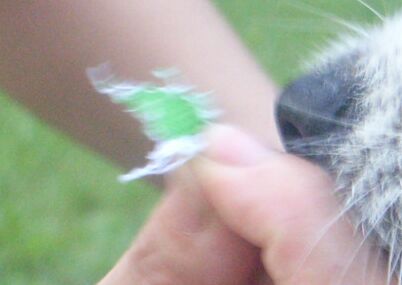 どひぇぇぇぇぇ~~~~