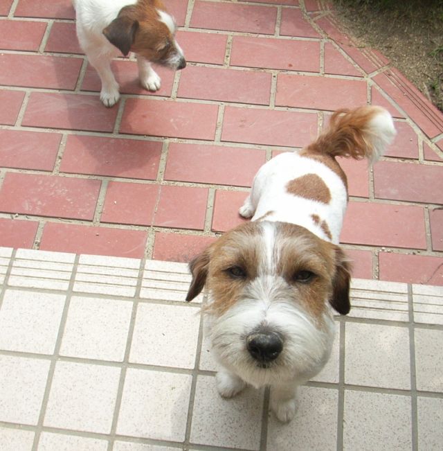 見た目は変わっても、食いしん坊は変わりません