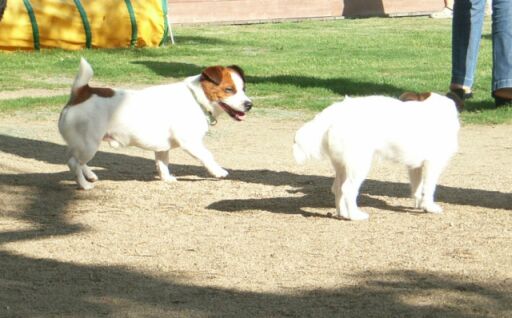 [ラック君]遊ばないの？