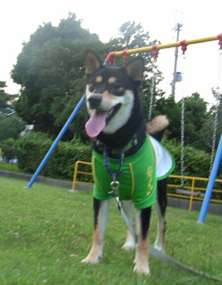 小太郎!!オトコマエ~~