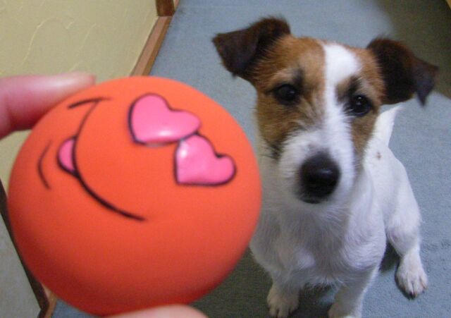 はやく・・・・・おくれ！！