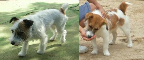 みんなとってもかわいかったよ～