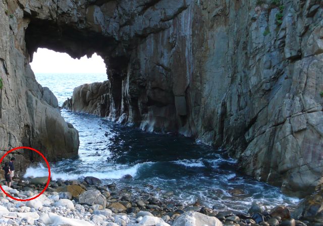 ビスキーはどこでしょう？