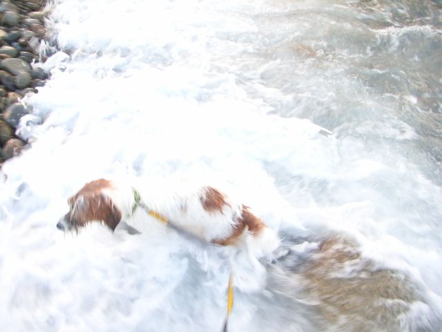 波にさらわれそうです・・・