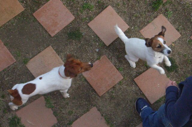 フロント係さんに、ひたすらおねだりをしますっ