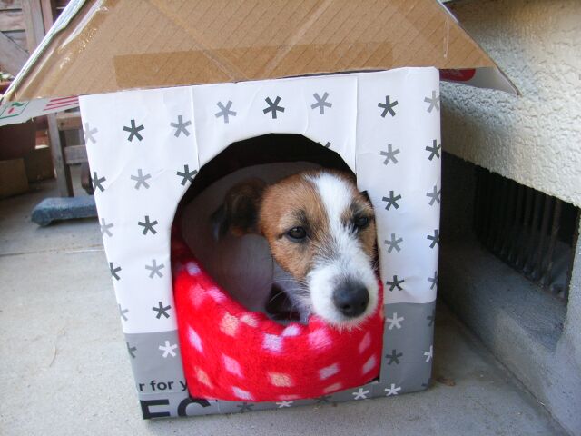 気に入った？？？