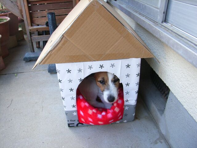 そんなに覗かないでよ！！