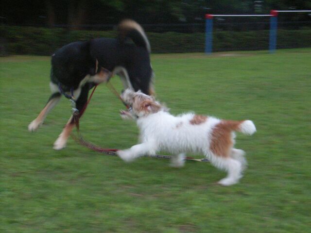 コタ兄ちゃんなんかには負けないじょ～～