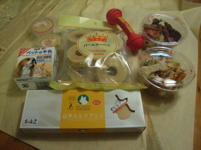 ワーイ　「ウマウマ」がいっぱい♪