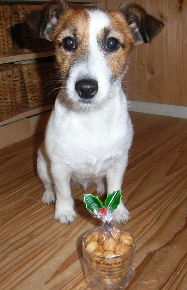 ありがとうございますっ♪