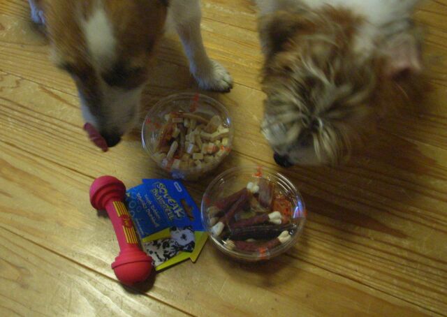 旨そうなにおいに、思わず「ペロリ」