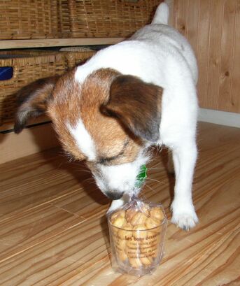 早くたべたい--!!