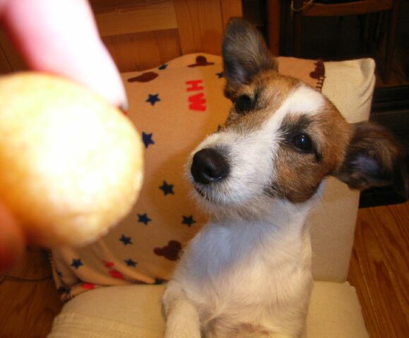 見てます・・・