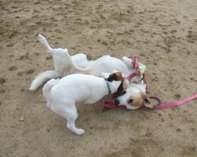 いつもの風景です・・・