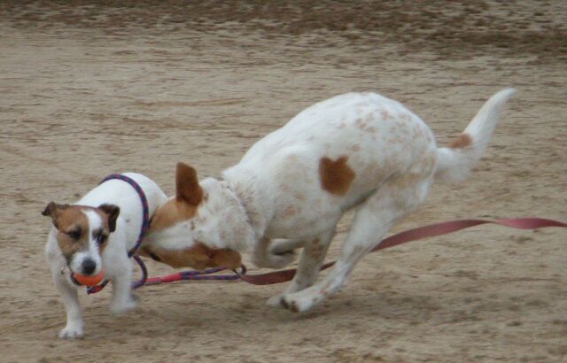 ピュアだって負けてません