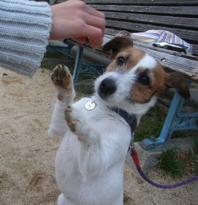 やっぱり、ウマウマが好きっ