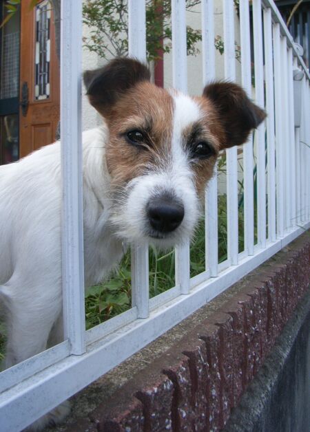 お散歩じゃないんですか・・・？？？