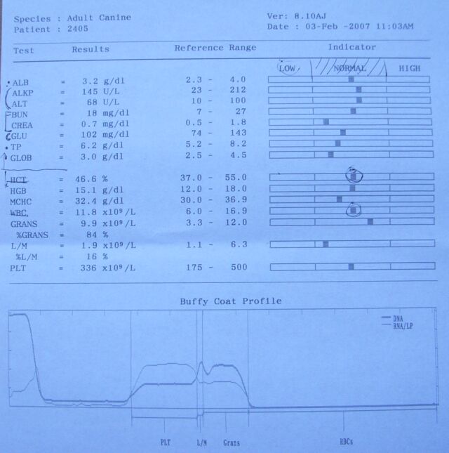 血液検査の結果です