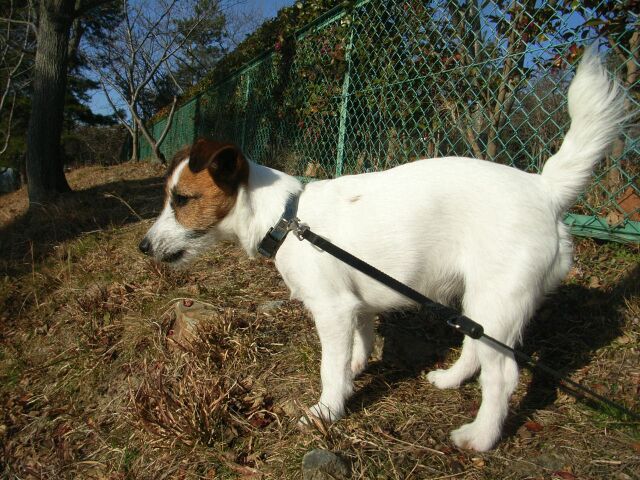 誰か来ないかな～～♪