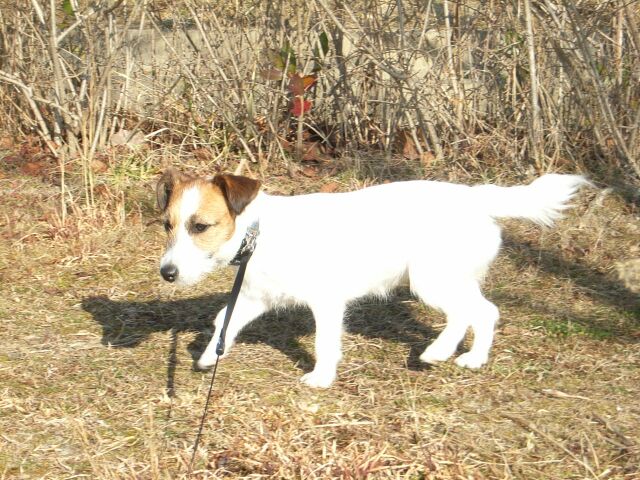 朝からパワー全開で走りますっ
