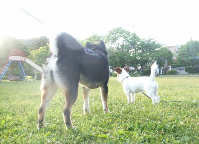 ぼう然・・・・・