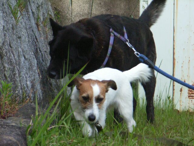 お互いあんまり干渉しません