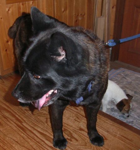 今晩は、シンちゃんと寝るの？