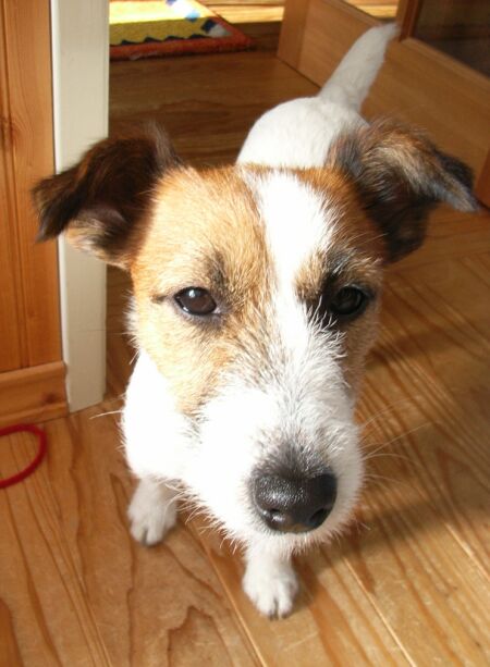 よかったね♪私も一晩中心配してたのよ・・・