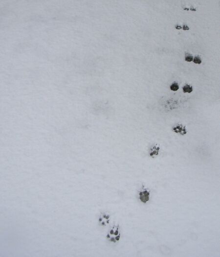 あしあと・・・・・