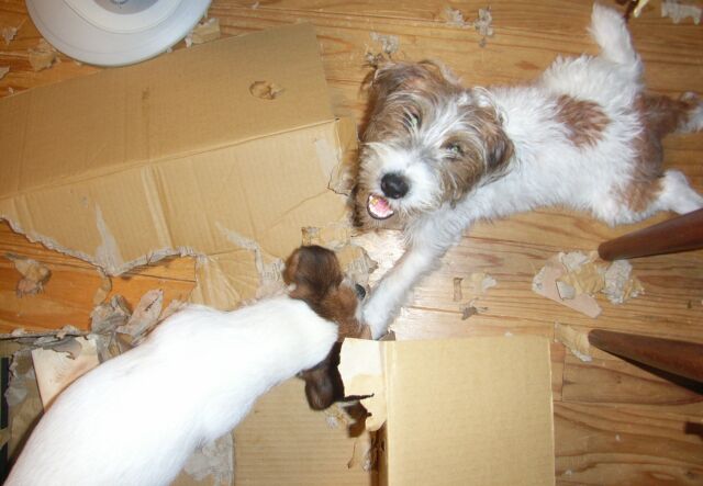 そんなことしたら、リサイクルできないでしょ～～